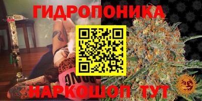 метадон Гусев
