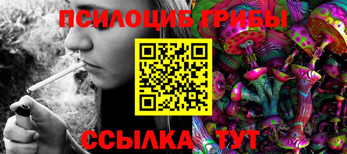 закладки  Вход с VPN  Киров  Псилоцибиновые грибы прущие грибы 
